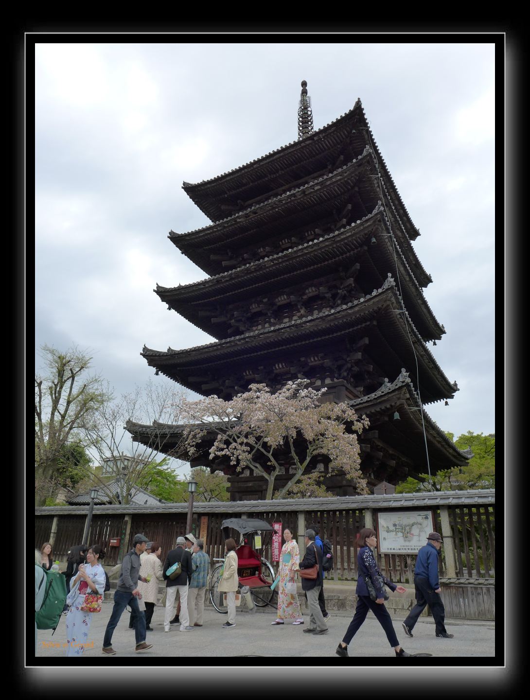 250 Kyoto Yasaka Pagode 