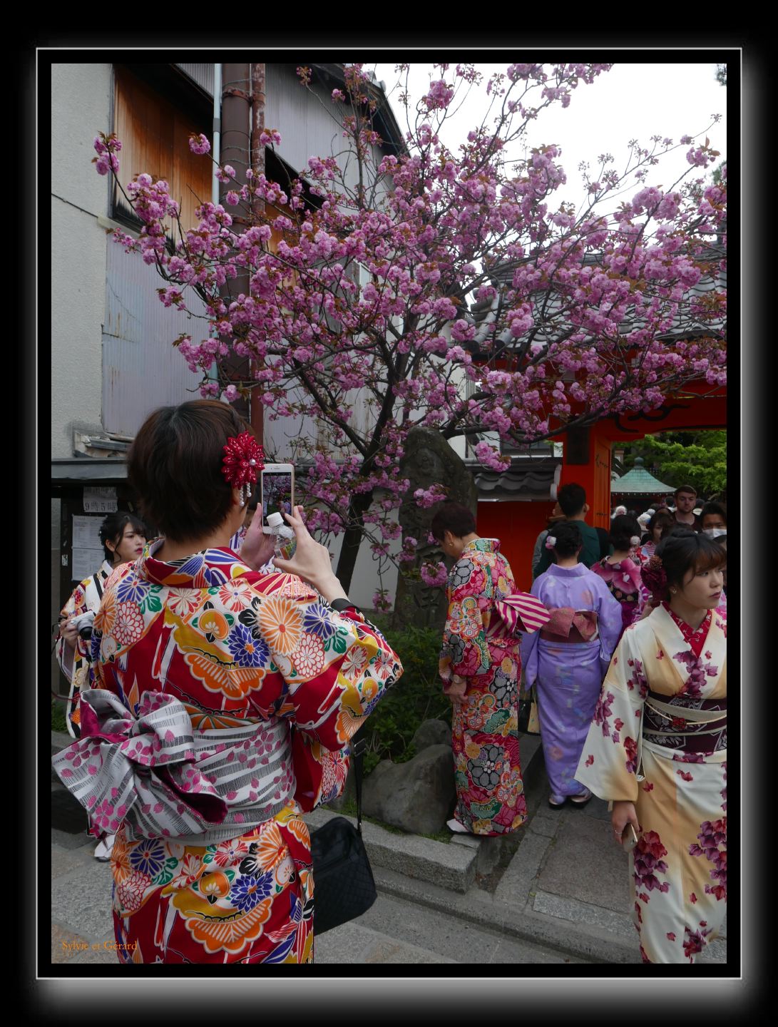 252 Kyoto Yasaka Pagode 
