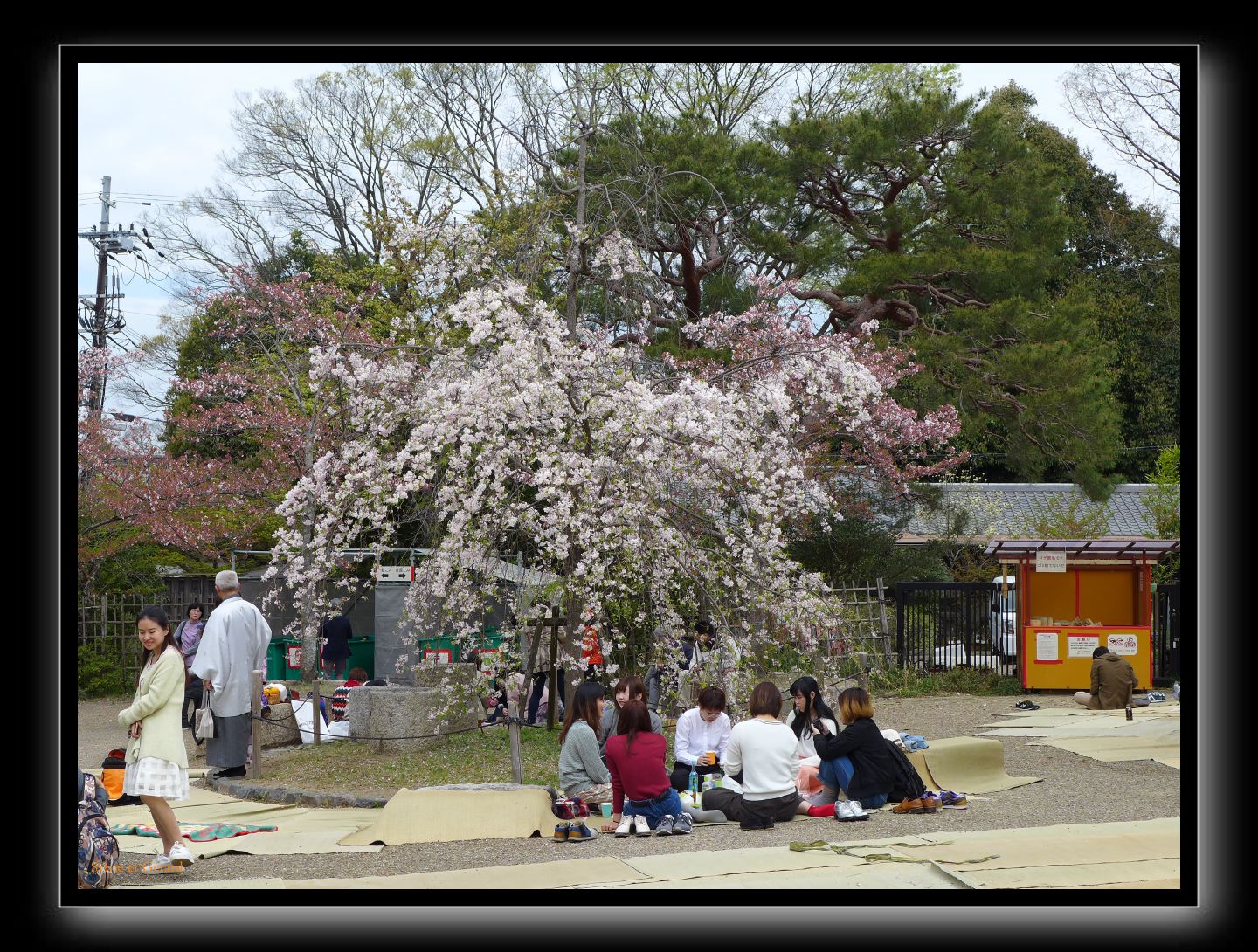 255 Kyoto Yasaka Shrine 