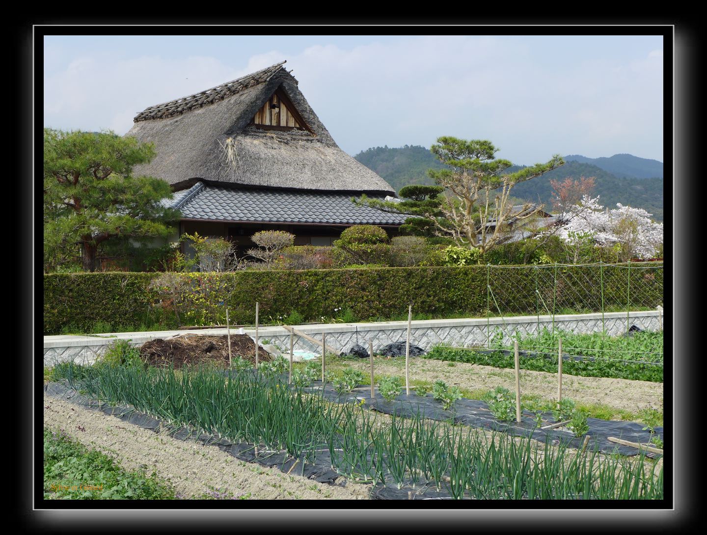 029 Kyoto Arashiyama Gio-ji quatier alentour maison en toit de chaume