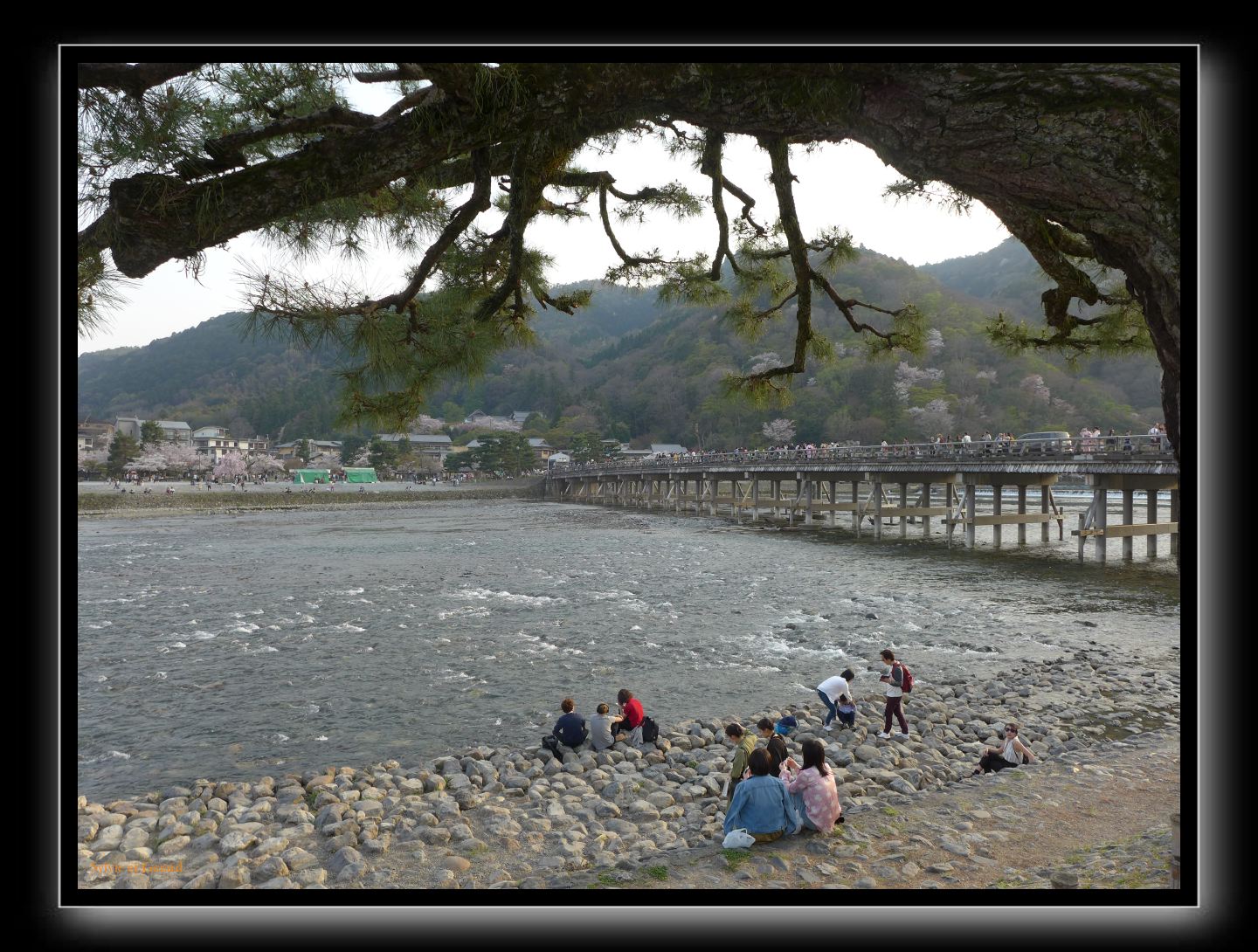 043 Kyoto Arashiyama le pont