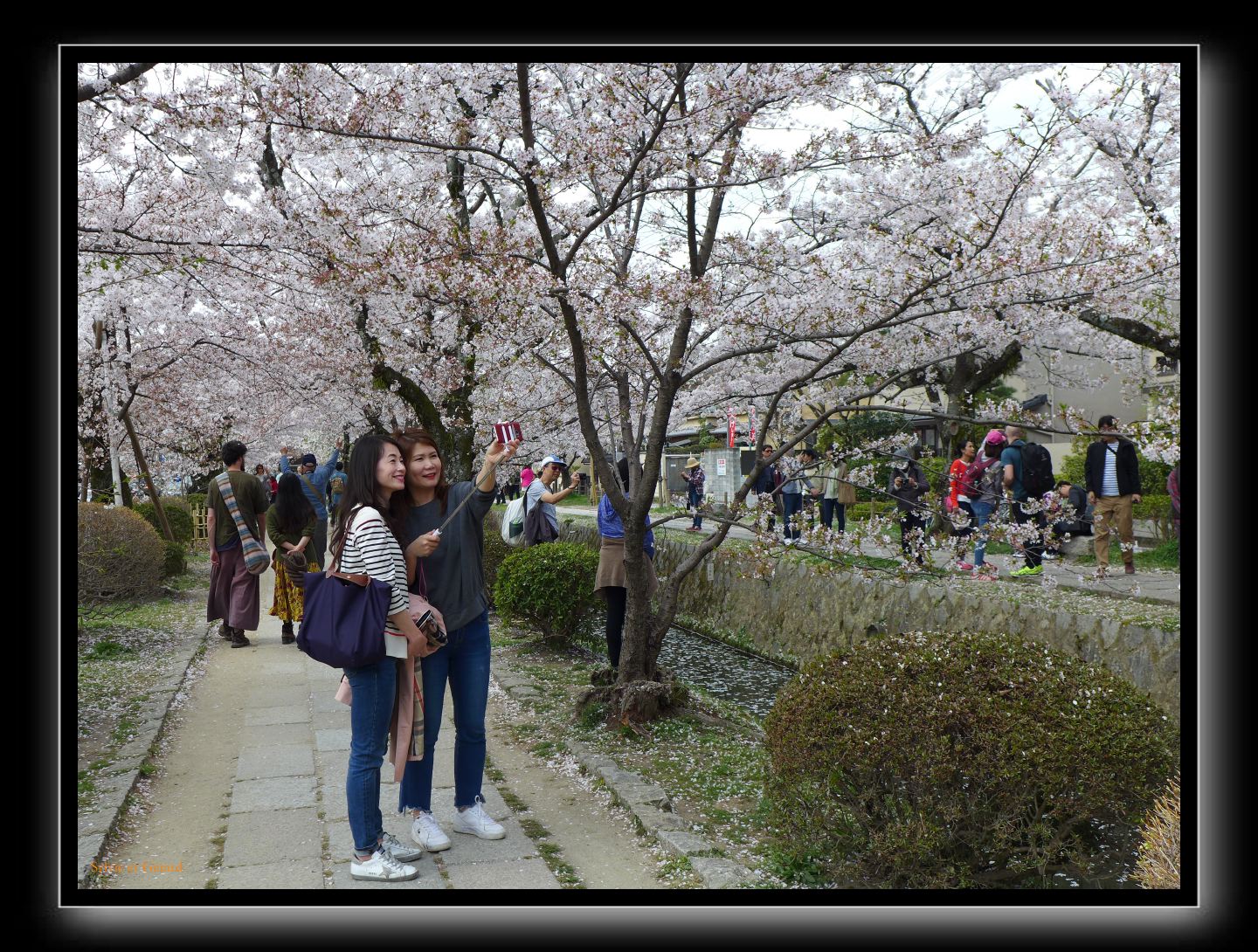 046 Kyoto chemin de la philosophie 