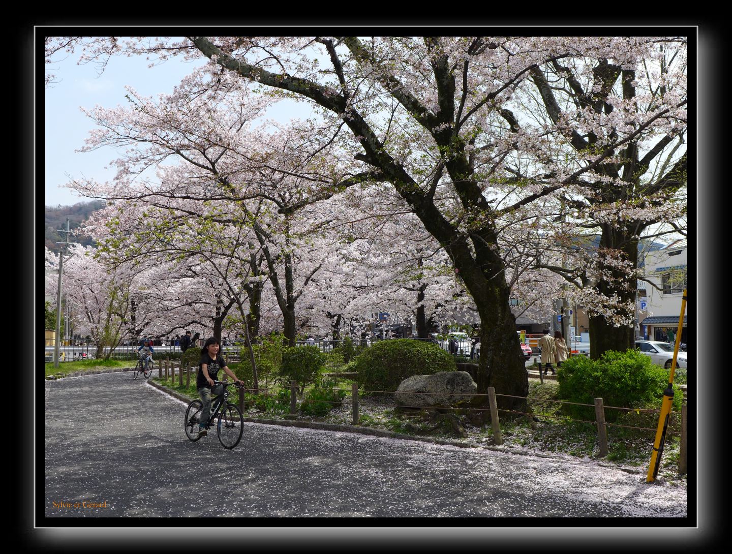 047 Kyoto chemin de la philosophie 