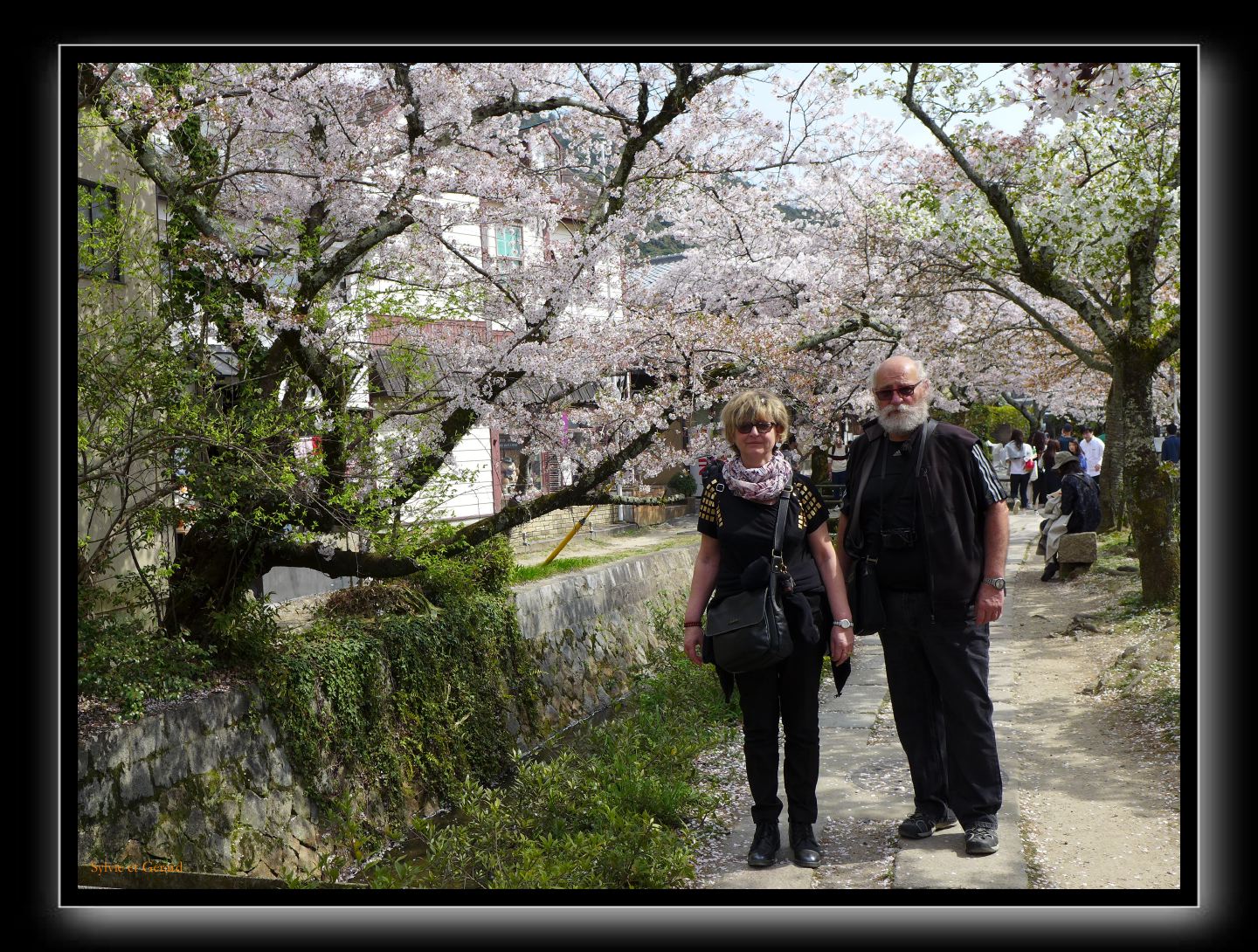 052 Kyoto chemin de la philosophie  les vedettes