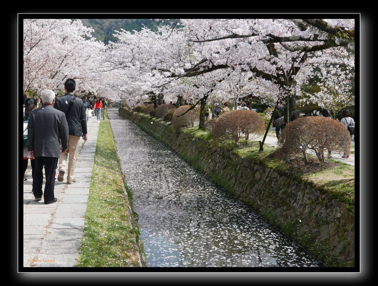 072 Kyoto chemin de la philosophie 