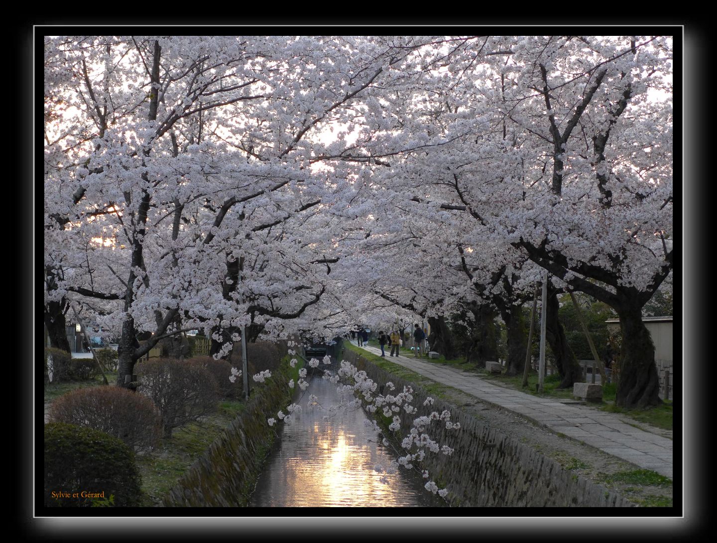 079 Kyoto chemin de la philosophie le soleil se couche