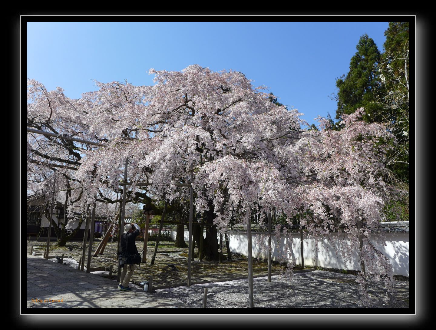 083 Kyoto Daigo-ji