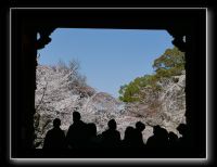 099 Kyoto Daigo-ji 