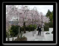 113 Kyoto Enko-ji 