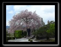 114 Kyoto Enko-ji 