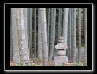 117 Kyoto Enko-ji 