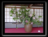 012 Kyoto Arashiyama Daikaku-ji  l'empereur Saga serait l'initiateur de l'ikebana