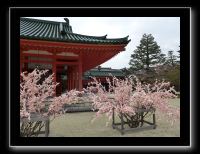 133 Kyoto Heian Jingu 