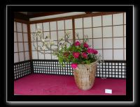 013 Kyoto Arashiyama Daikaku-ji  le Daikaku-ji serait le temple originel de l'art de l'arrangement floral il y a 1200 ans