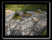153 Kyoto Jardin Taizo-in Myoshin-ji