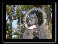 156 Kyoto Jardin Taizo-in Myoshin-ji  le haut