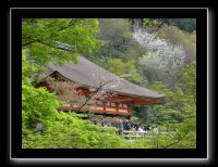 172 Kyoto Kiyomizudera 