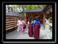 174 Kyoto Kiyomizudera 