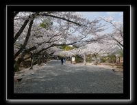 001 Kyoto Arashiyama Daikaku-ji l'entrée du parc