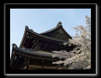 230 Kyoto Nanzen-Ji 