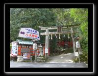 232 Kyoto Shisen-do 