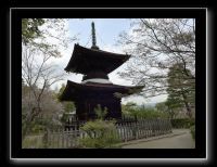 036 Kyoto Arashiyama Jojakko-ji 