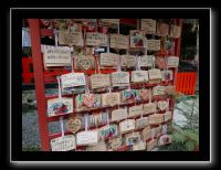 045 Kyoto Arashiyama Tenryu-ji 