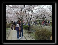 046 Kyoto chemin de la philosophie 
