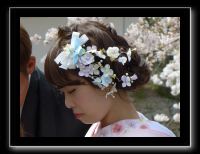 054 Kyoto chemin de la philosophie  fleurs de cerisiers dans la coiffure de la mariée