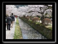 072 Kyoto chemin de la philosophie 