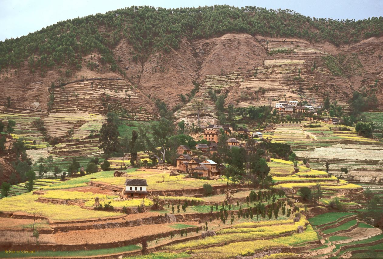 Sangkhu Namo Buddha sur la route des cultures en terrasse Nepal 1993-217