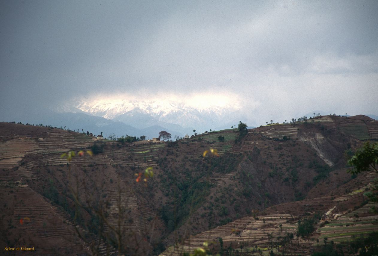 Sangkhu Namo Buddha Trangu Tashi Yangtse Monastere vue sur l'Everest Nepal 1993-218