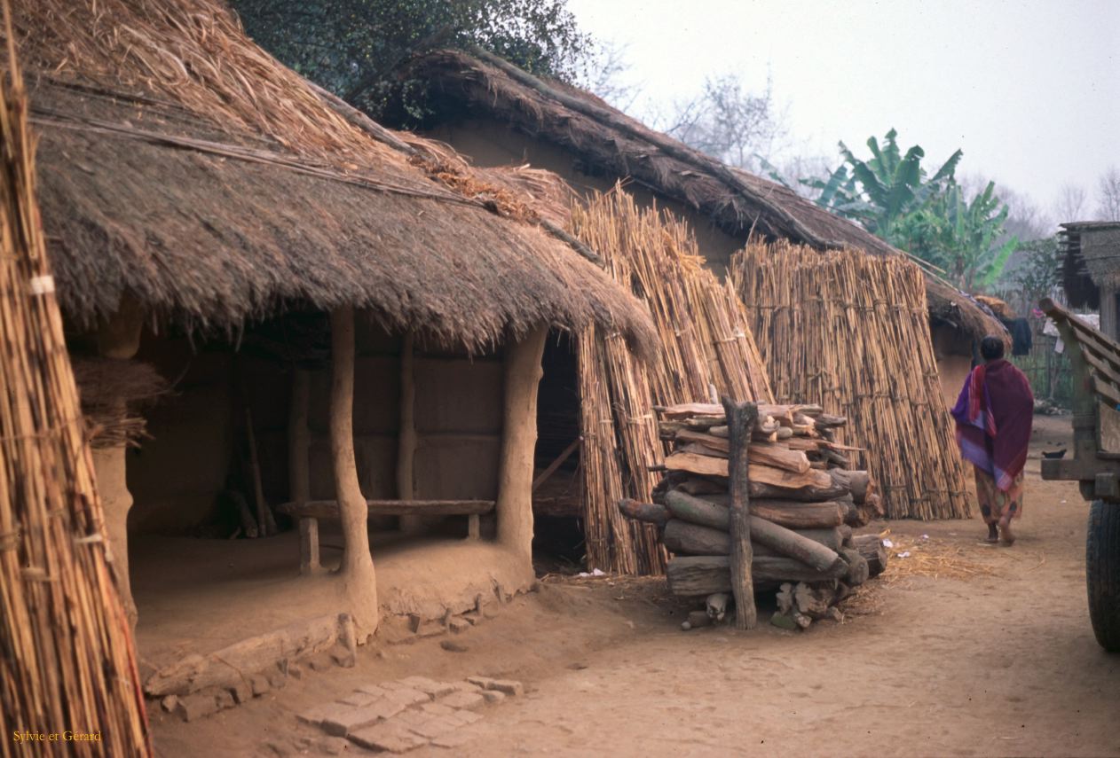Teraï parc Chitwan village Tharu Nepal 1993-147