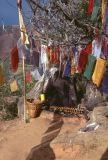 Sangkhu Namo Buddha Trangu Tashi Yangtse Monastery Nepal 1993-208