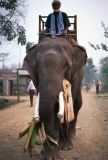 Teraï parc Chitwan village Tharu Nepal 1993-139