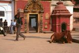 Bhaktapur place Durbar Nepal 1993-200