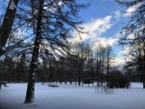 33 Pouchkine et le parc Tsarskoïe Selo avec le Palais de Catherine