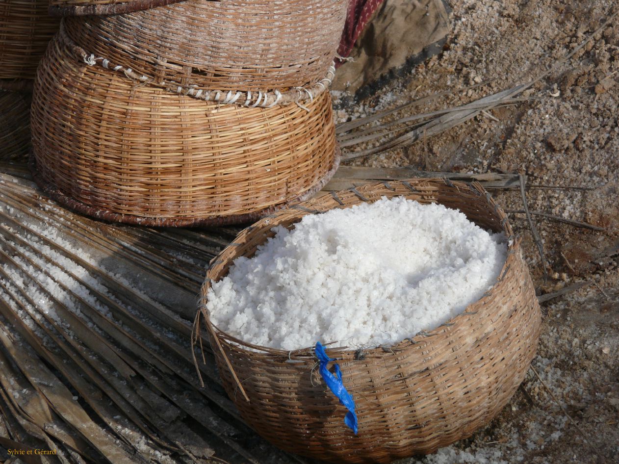 E 08 Le Sine Saloun les salins