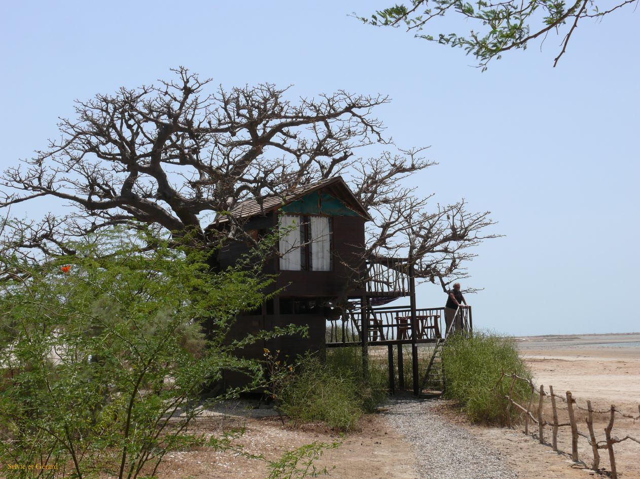 E 15 Le Sine Saloun maison dans les arbres