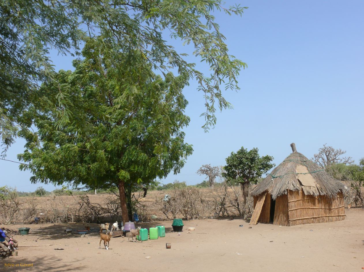 F 02 Nianing dans un village