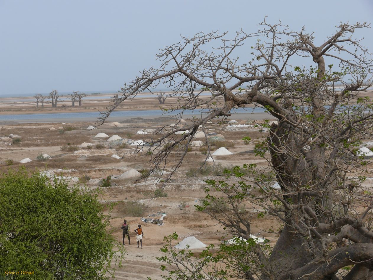 E 04 Le Sine Saloun les salins