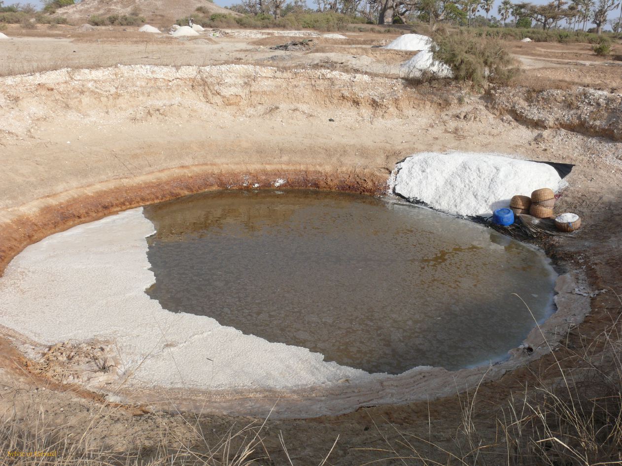 E 05 Le Sine Saloun les salins