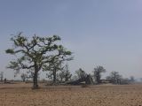 F 23 Nianing villages