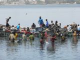 G 18 St Louis arrivée des pêcheurs