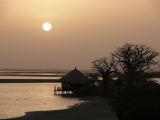E 02 Le Sine Saloun zone de Mangroves