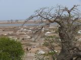 E 04 Le Sine Saloun les salins
