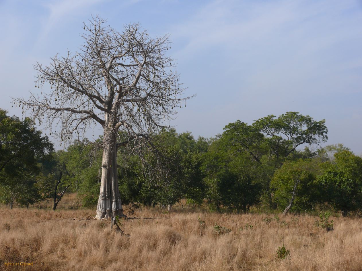 G 01 Vers Kédougou