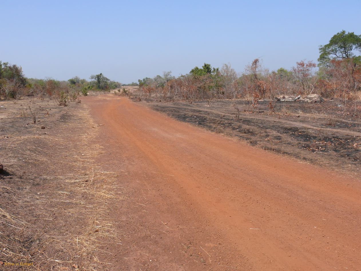 F 01 Vers le Pays Bassari