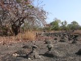 G 03 Vers Kédougou
