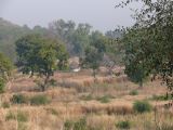 G 11 Village d'Ethwouar